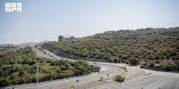 Al-Baha’s 221,000 Hectares of Forests Enrich Its Natural Landscape